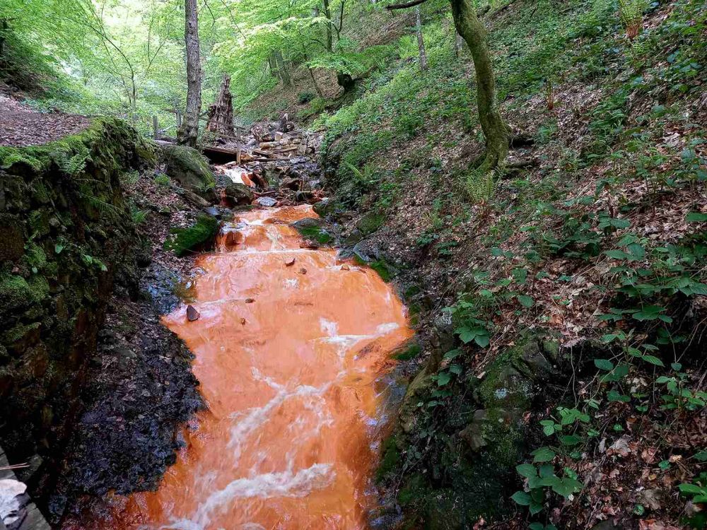 A reddish stream at the Guber springs
