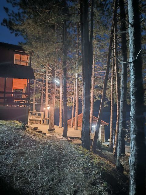 The cottage among the pines