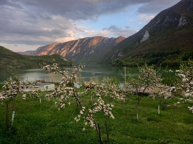 Lake Perućac in spring