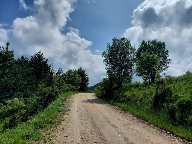 Gravel road to the cottage