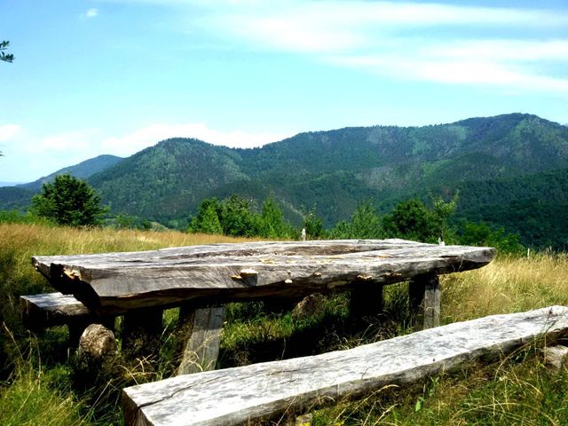 Wooden table and benches in nature on the way to the cottage